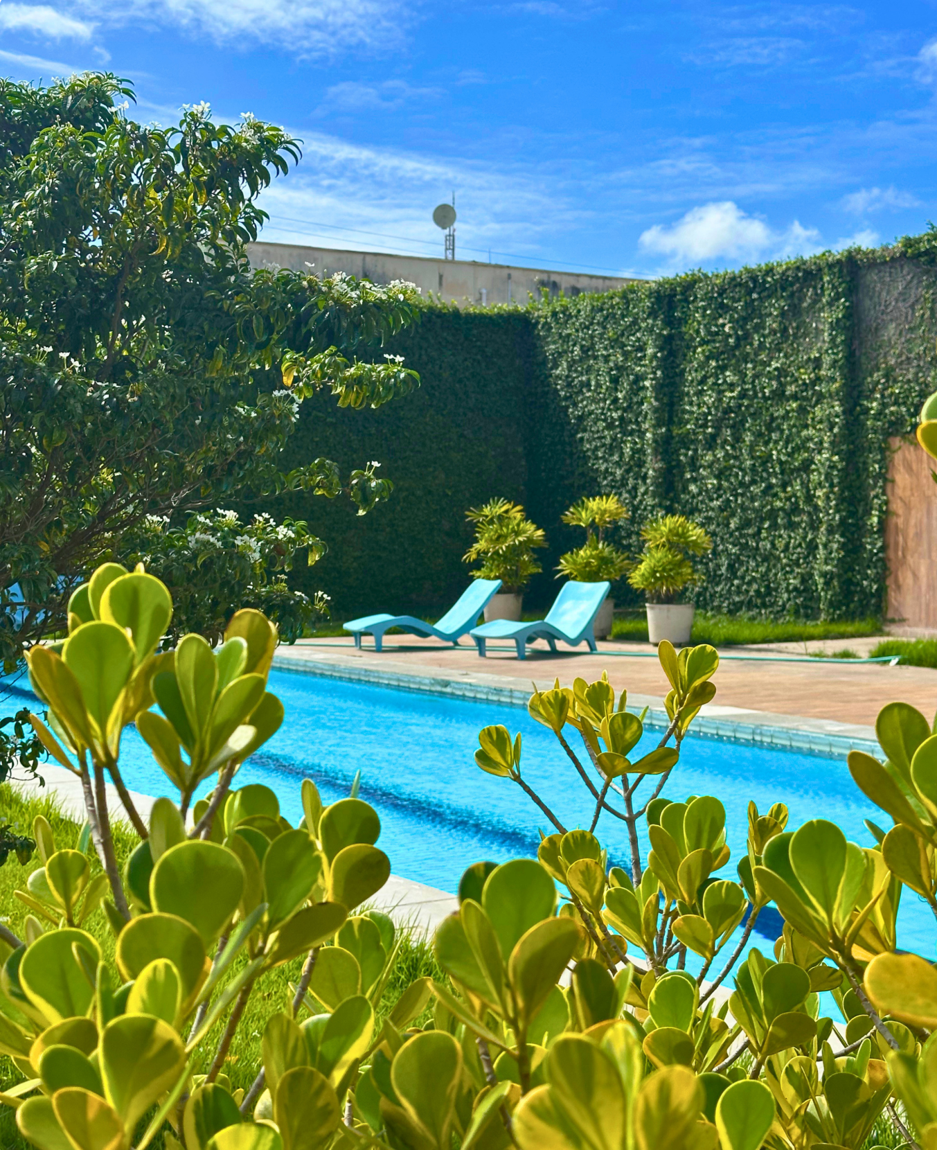 Ambiente Villa Vita 6